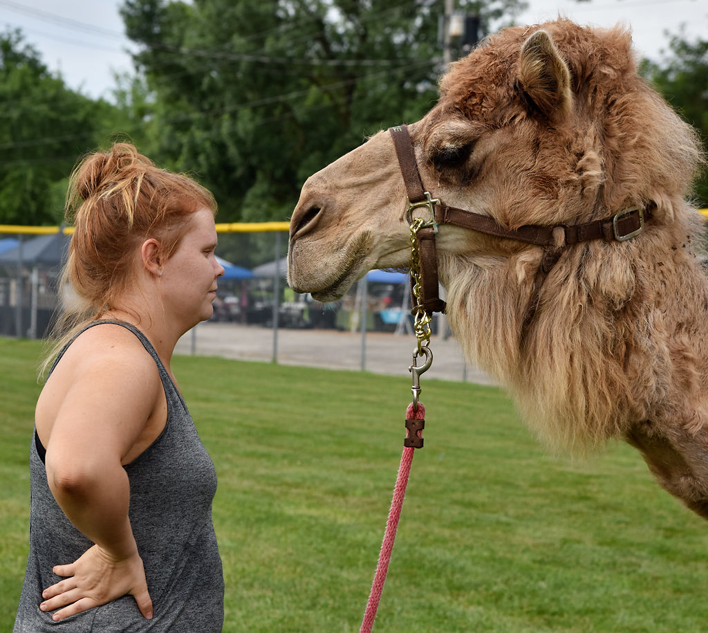 Emily Lantz stares face to face with Lucille, a 17-year-old camel, during Centralia's Fourth of July celebration